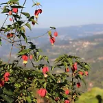 Сasa de vacaciones Douro Senses - Cinfães