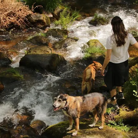 Prázdninový dům Douro Senses - Cinfães