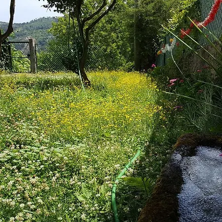 Douro Senses - Cinfães