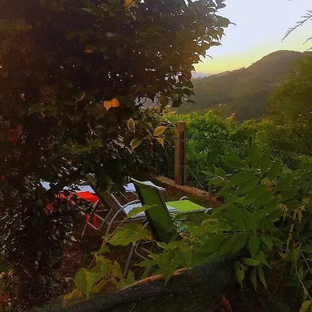 Feriehus Douro Senses -