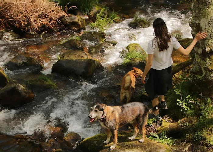 Holiday home Douro Senses - Cinfaes