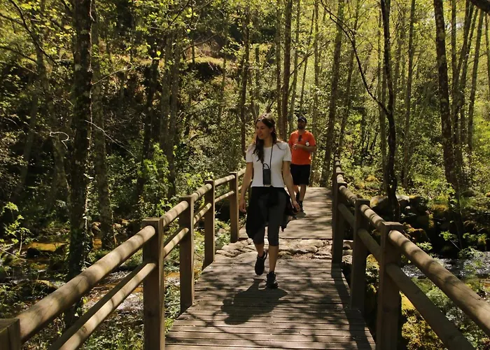 Дом отдыха Douro Senses - *