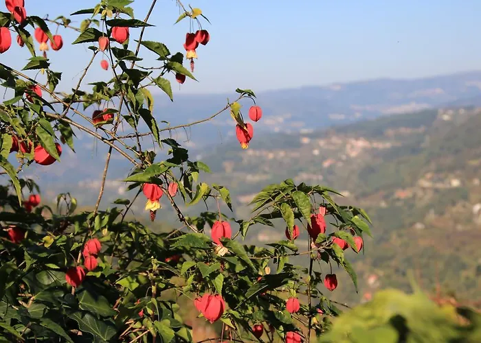 Nyaraló Douro Senses - Cinfães