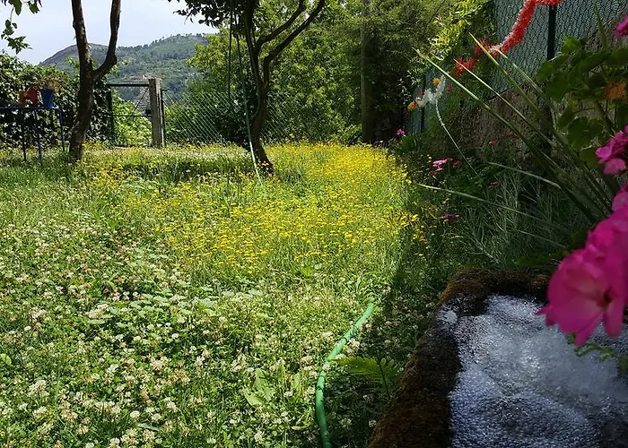 Douro Senses - Cinfães