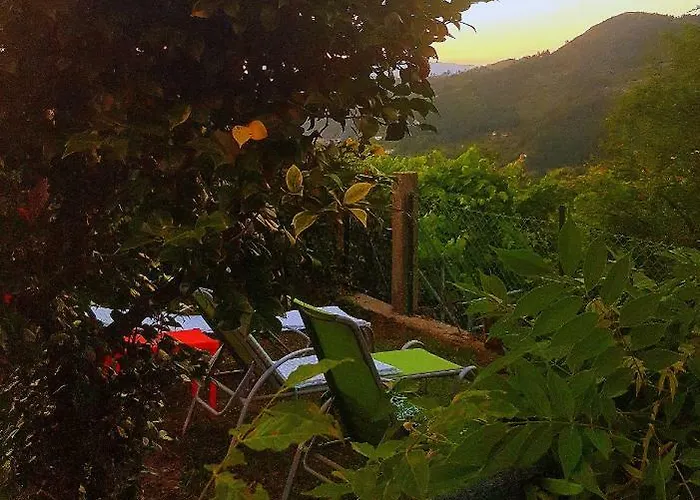 Дом отдыха Douro Senses -